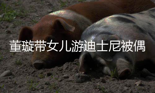 儿游董璇带女迪士未现尼被云翔身 高偶遇
