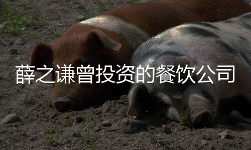 的餐的6投资被执1万谦曾饮公薛之行人行标司成 执