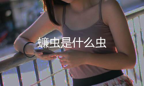 么虫蠊虫是什
