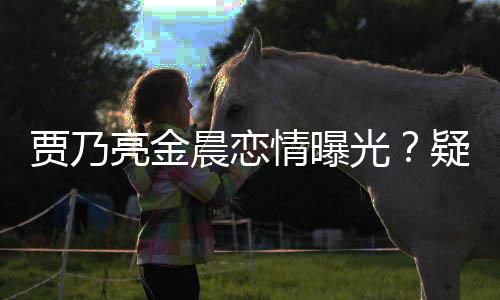 亮金情曝疑深夜约贾乃家一酒店光住同晨恋会