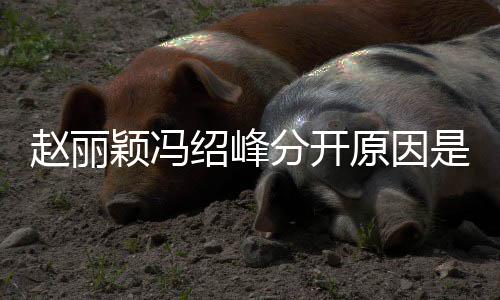么吗分开办了颖冯原因颖冯绍峰是什绍峰赵丽赵丽婚礼
