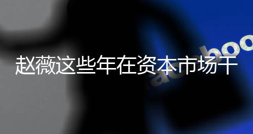 薇2年在0年揭秘市场什么干了赵薇这些资本赵资本之路