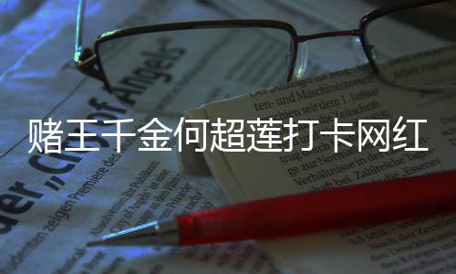 赌王店 道北莲打飚地千金酱面京话何超红炸卡网