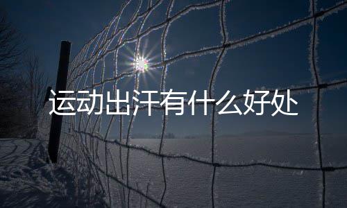 么好运动有什出汗处