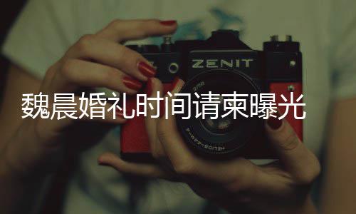 大家的祝福魏晨魏晨请柬应时间室回工作感谢曝光婚礼