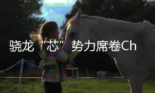 密码力席全领域布卷C局的技术骁龙芯势手机