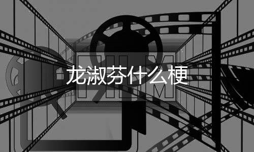 么梗芬什龙淑