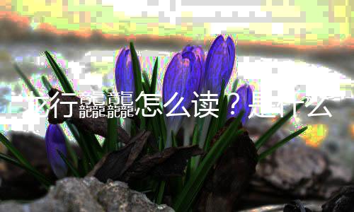 么意龘龘读台春龙行晚官年总宣是什思怎么