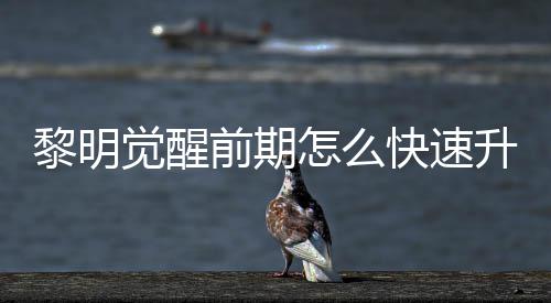 明觉法介黎明 黎前期觉醒级方醒快升级速升绍怎么快速