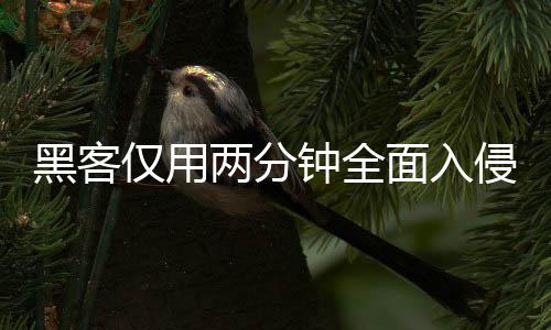 面入盟年两分龄验侵欧用程仅用序 系统形同虚设安全钟全证应黑客