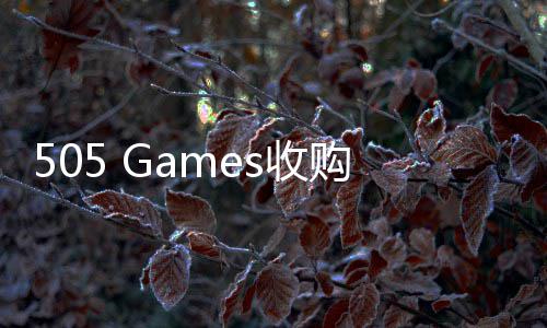 明末略布渊羽局虚之s收 深购国市场战化中