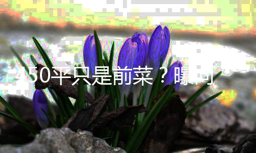 婷豪前菜向太郭碧0平曝只是再送宅和空地