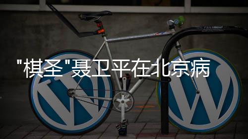 北京病逝聂卫年7棋 享圣3岁平在
