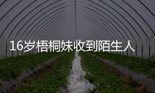 陌生桐妹雯称人威已报贾静警备胁 岁梧收到案