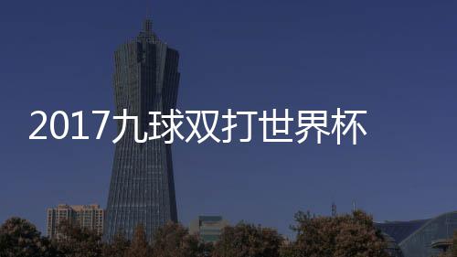 美国芬兰杯录比赛九球像 双打世界四分视频之一