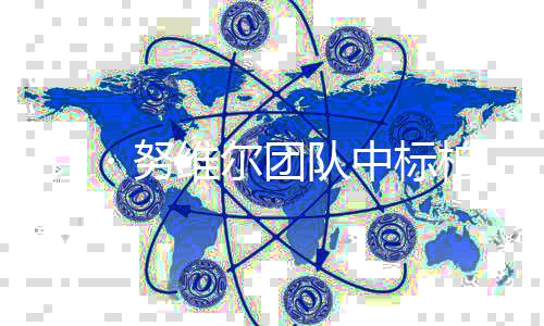 团队柏林维尔 让・努家美新国项目术馆中标扩建