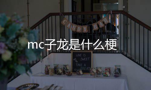 么梗是什子龙