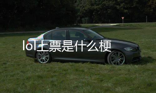 l上什么梗票是